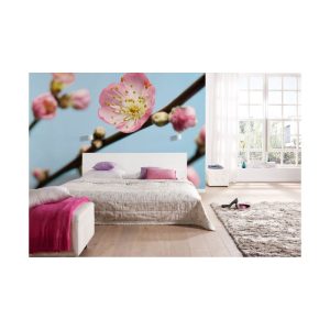 Komar Vlies Fototapete Peach Blossom 350×250 cm Komar Vlies Fototapete Peach Blossom 350×250 cm