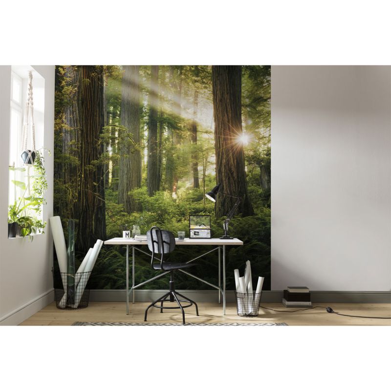 Komar  Vlies Fototapete Goblins Woods 250x280 cm