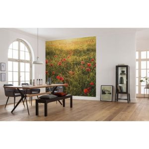 Komar  Vlies Fototapete Poppy World 250×280 cm