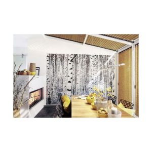 Komar Vlies Fototapete Woods 400×270 cm Komar Vlies Fototapete Woods 400×270 cm