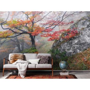 Komar Vlies Fototapete Euphoria 300×200 cm Komar Vlies Fototapete Euphoria 300×200 cm