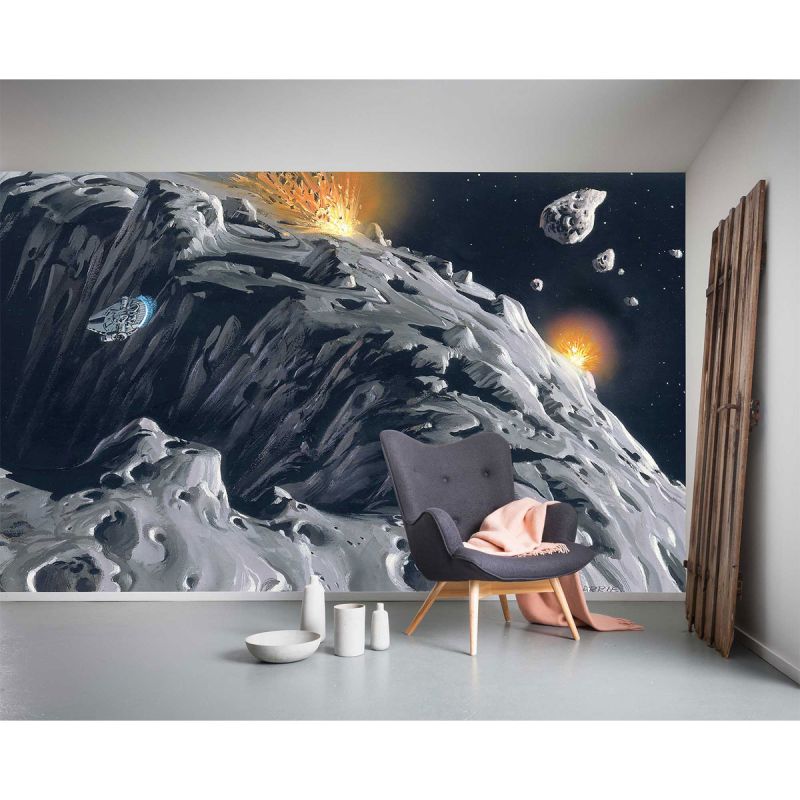 Komar  Vlies Fototapete Star Wars Classic Asteroid 500x250 cm