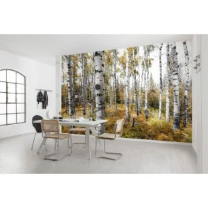 Komar  Vlies Fototapete Colorful Aspenwoods 450×280 cm