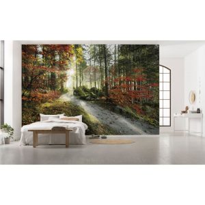 Komar Vlies Fototapete Feuerzungen 450×280 cm Komar Vlies Fototapete Feuerzungen 450×280 cm