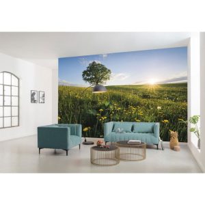 Komar Vlies Fototapete Frühling auf dem Land 450×280 cm Komar Vlies Fototapete Frühling auf dem Land 450×280 cm