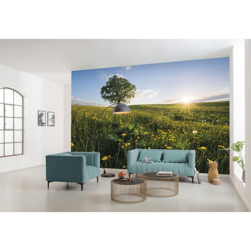Komar  Vlies Fototapete Frühling auf dem Land 450x280 cm