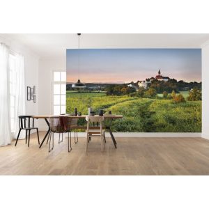 Komar Vlies Fototapete Himmlisch 450×280 cm Komar Vlies Fototapete Himmlisch 450×280 cm
