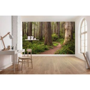 Komar Vlies Fototapete Redwood Trail 450×280 cm Komar Vlies Fototapete Redwood Trail 450×280 cm