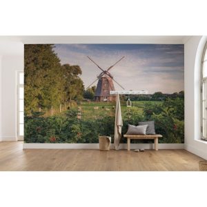 Komar Vlies Fototapete Tage wie Diese 450×280 cm Komar Vlies Fototapete Tage wie Diese 450×280 cm