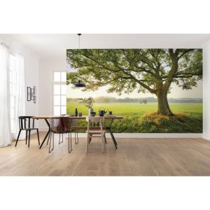 Komar Vlies Fototapete The Magic Tree 450×280 cm Komar Vlies Fototapete The Magic Tree 450×280 cm