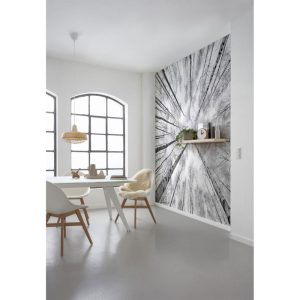 Komar Vlies Fototapete Weiss-Blau 450×280 cm Komar Vlies Fototapete Weiss-Blau 450×280 cm