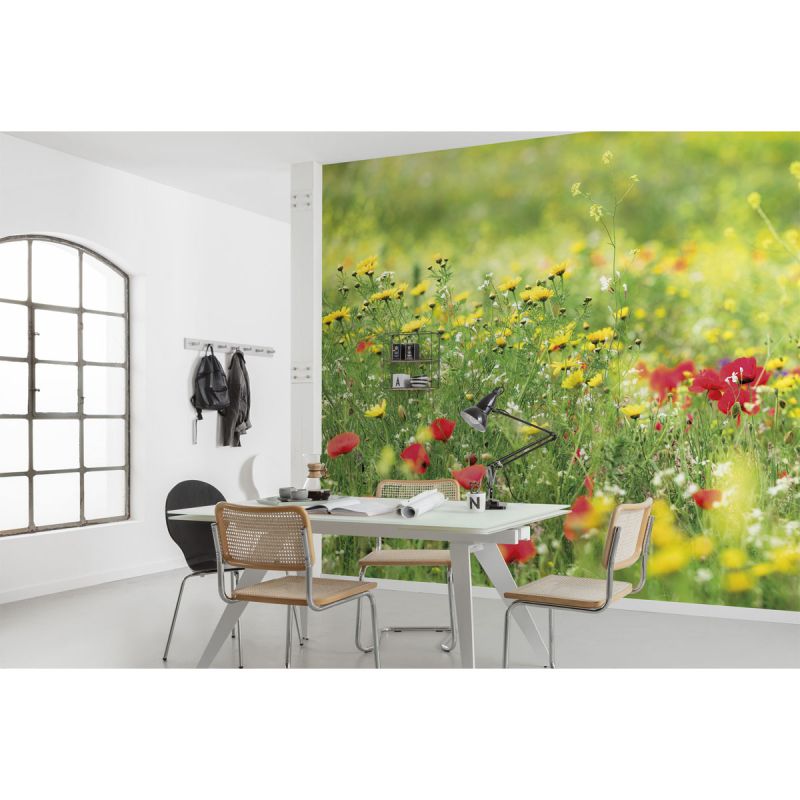 Komar  Vlies Fototapete Wiesenzauber II 450x280 cm