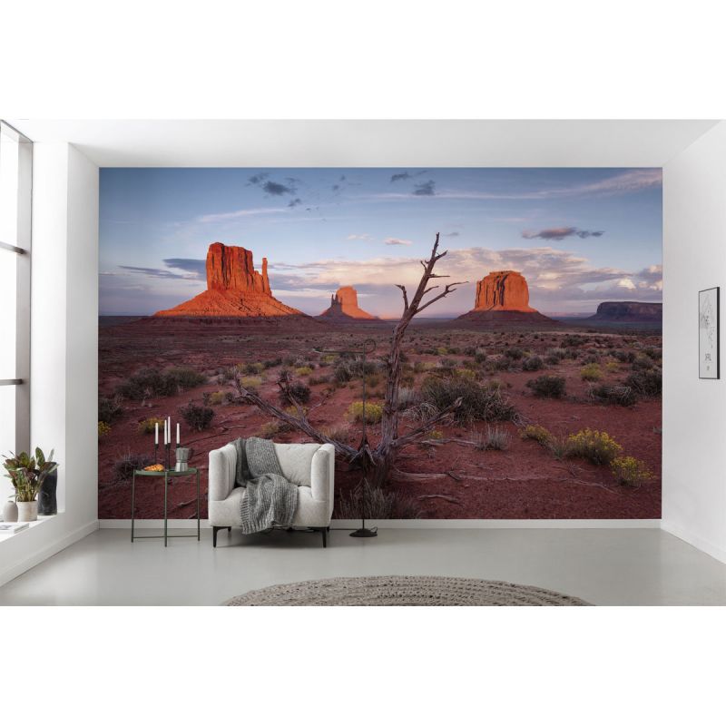 Komar  Vlies Fototapete Wild West Heroes 450x280 cm