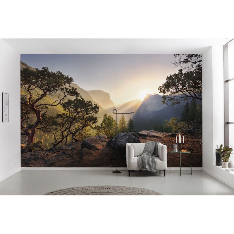 Komar  Vlies Fototapete Yosemites Secret 450x280 cm