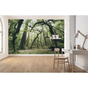 Komar Vlies Fototapete Ancient Green 450×280 cm Komar Vlies Fototapete Ancient Green 450×280 cm