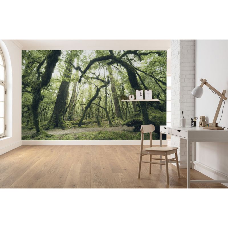 Komar  Vlies Fototapete Ancient Green 450x280 cm