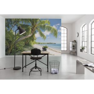 Komar Vlies Fototapete Fiji Dreams Boat 450×280 cm Komar Vlies Fototapete Fiji Dreams Boat 450×280 cm