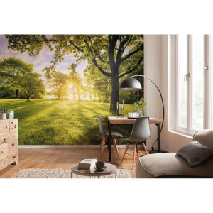 Komar Vlies Fototapete Golden Moment 400×250 cm Komar Vlies Fototapete Golden Moment 400×250 cm