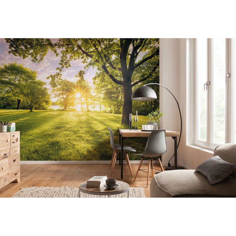 Komar  Vlies Fototapete Golden Moment 400x250 cm
