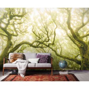 Komar Vlies Fototapete Green Fire 400×250 cm Komar Vlies Fototapete Green Fire 400×250 cm
