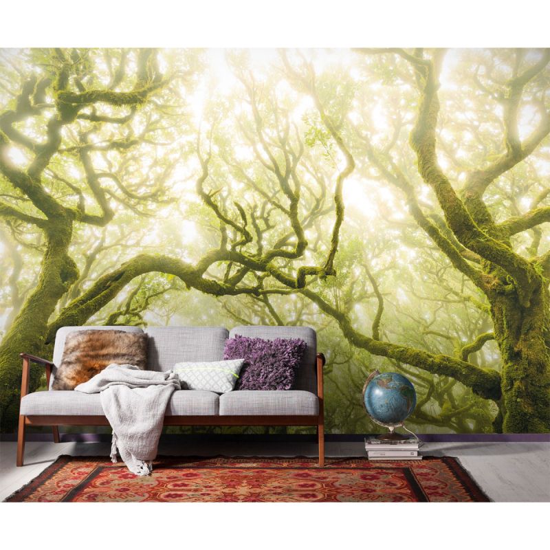 Komar  Vlies Fototapete Green Fire 400x250 cm