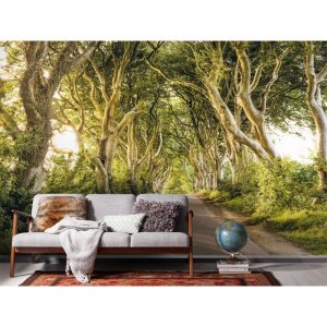 Komar Vlies Fototapete Golden Hedges 400×250 cm Komar Vlies Fototapete Golden Hedges 400×250 cm