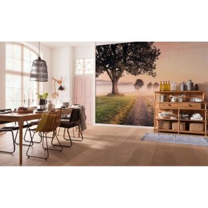 Komar  Vlies Fototapete Misty Morning 400×250 cm