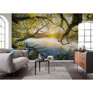 Komar Vlies Fototapete Golden Embrace 400×250 cm Komar Vlies Fototapete Golden Embrace 400×250 cm