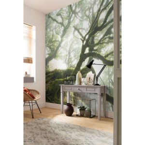 Komar Vlies Fototapete The Forgotten Forest 400×250 cm Komar Vlies Fototapete The Forgotten Forest 400×250 cm
