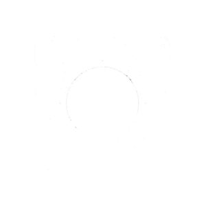 Unitec Tapetenschoner 2 Stück transparent