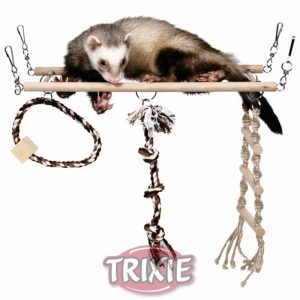 Trixie Nager Hängebrücke für Frettchen 35×15cm