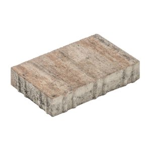 Diephaus Pflaster Major Muschelkalk 30 x 20 x 6cm Diephaus Pflaster Major Muschelkalk 30 x 20 x 6cm