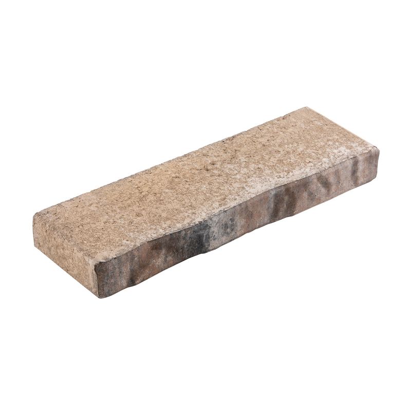 Diephaus Mauerstein Alive Muschelkalk 60 x 20 x 7 cm