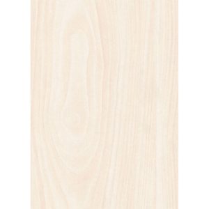 Specht Classic Paneel 10mm Birnbaum Specht Classic Paneel 10mm Birnbaum
