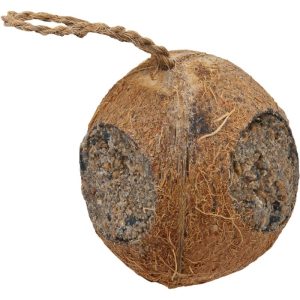 Pfiffikus Kokosnuss mit 3 Löchern