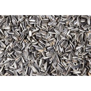 dobar Sonnenblumenkerne 20 kg dobar Sonnenblumenkerne 20 kg