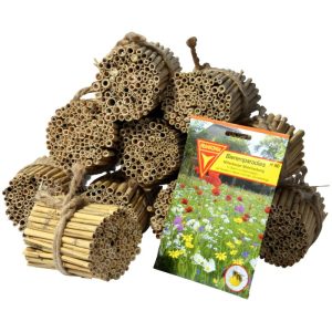 dobar Schilfrohrhalme-Set 1000 Stück 9 cm lang dobar Schilfrohrhalme-Set 1000 Stück 9 cm lang