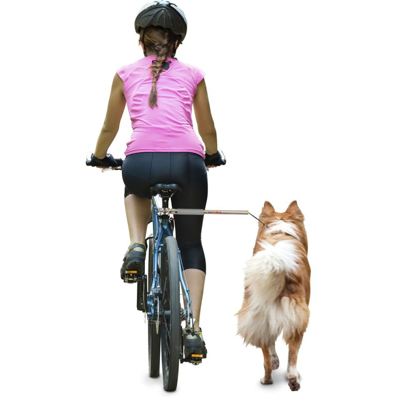 dobar Hundeleine Walky Dog Plus 37,5 cm silber