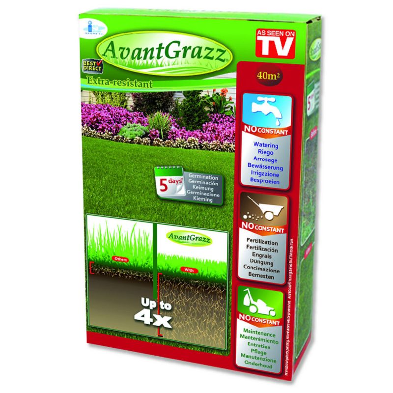 Best Direct Rasensamen „Avant Grazz“, 1 kg