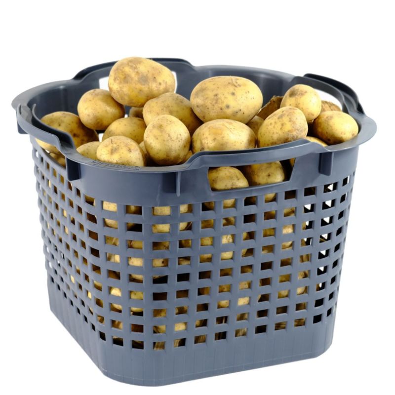 GreenLife Uni-Korb 25 kg 10 Stück grau