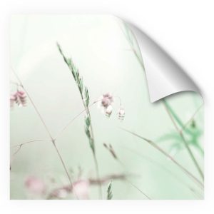 MySpotti Fixy KüchenrückwandfolieWildblumen MySpotti Fixy KüchenrückwandfolieWildblumen