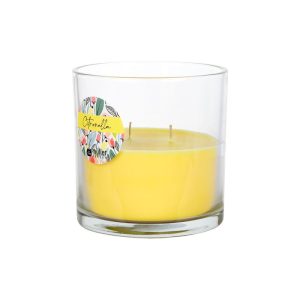 2-Docht-Kerzenglas Citronella 120/123mm 2-Docht-Kerzenglas Citronella 120/123mm
