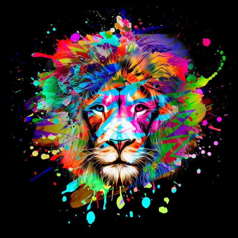 Pro-Art Leinwand Canvas Colorful Lion Head III 40x40 cm
