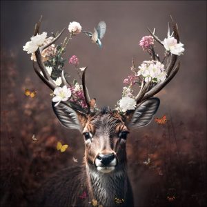 Pro-Art Leinwand Canvas Deer With Flowers 40×40 cm Pro-Art Leinwand Canvas Deer With Flowers 40×40 cm