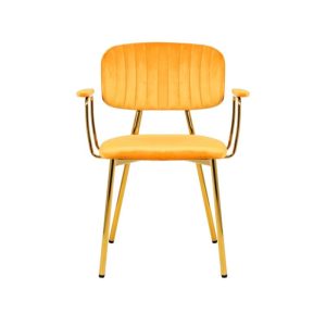 Stuhl Giselle 225 2er-Set hellorange
