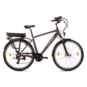 E-Citybike Herren 28" Hollandia Zagon RH 53 cm Grau 250 Watt Li-Ion 36V/13 Ah 6 Gänge E-Citybike Herren 28" Hollandia Zagon RH 53 cm Grau 250 Watt Li-Ion 36V/13 Ah 6 Gänge