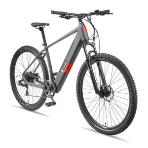 Telefunken E-Bike M919 29" Granitgrau Telefunken E-Bike M919 29" Granitgrau