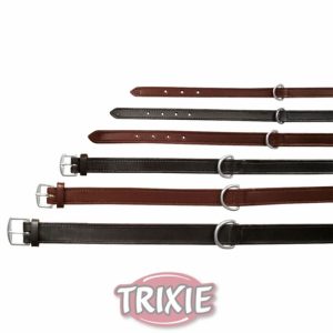 Trixie Active Halsband schwarz M 39-46cm/22mm Trixie Active Halsband schwarz M 39-46cm/22mm