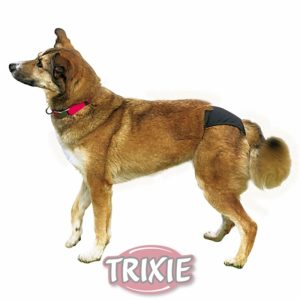 Trixie Dog Schutzhöschen schwarz XS 20-25cm Trixie Dog Schutzhöschen schwarz XS 20-25cm
