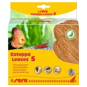 sera Catappa Leaves S 10 Stück sera Catappa Leaves S 10 Stück